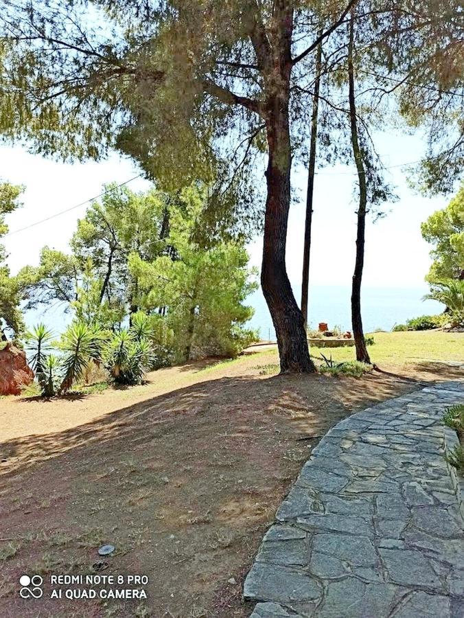Squirrels, Home With View Metamorfosi  Esterno foto