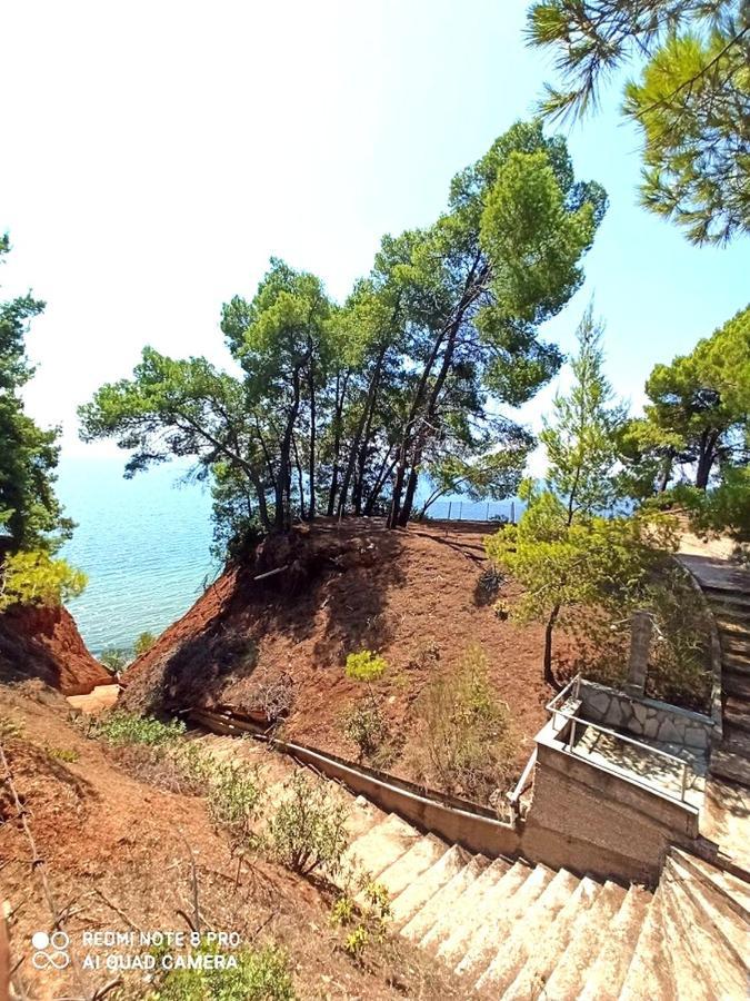 Squirrels, Home With View Metamorfosi  Esterno foto