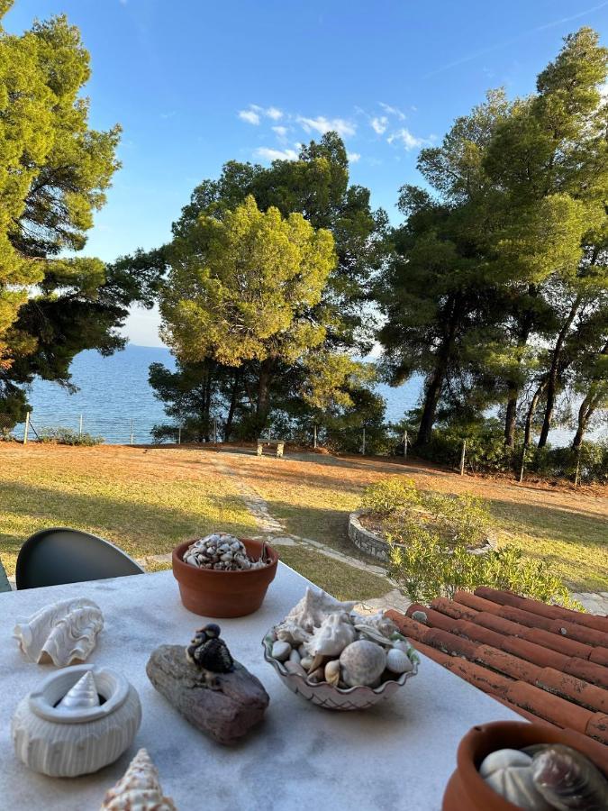 Squirrels, Home With View Metamorfosi  Esterno foto