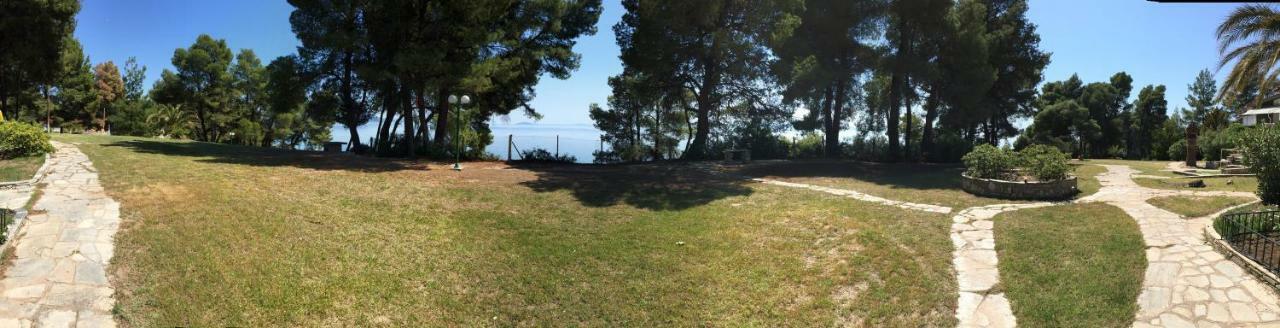 Squirrels, Home With View Metamorfosi  Esterno foto